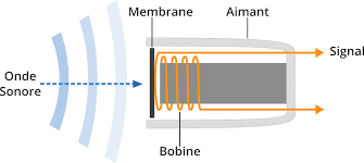 Constitution micro